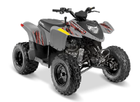 2022 Polaris® Youth Phoenix 200